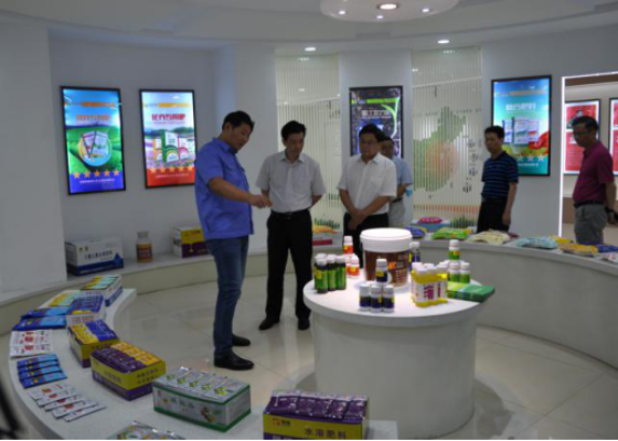 中华全国供销总社蔡振红调研辉隆五禾肥业